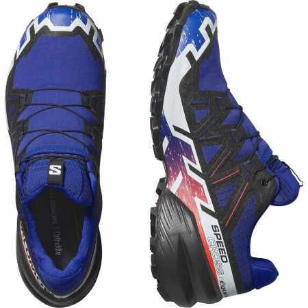 Muška obuća Salomon Speedcross 6 Gore-Tex Equipe
