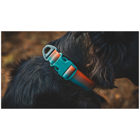 Ogrlica za psa Ruffwear Front Range™ Collar