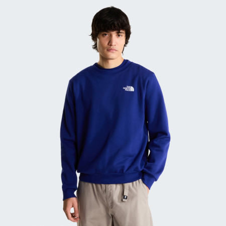 Muška dukserica The North Face M Evolution Box Nse Regular Crew
