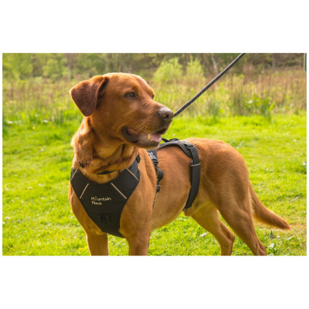 Ogrlica za psa Mountain Paws 3-Strap Dog Harness