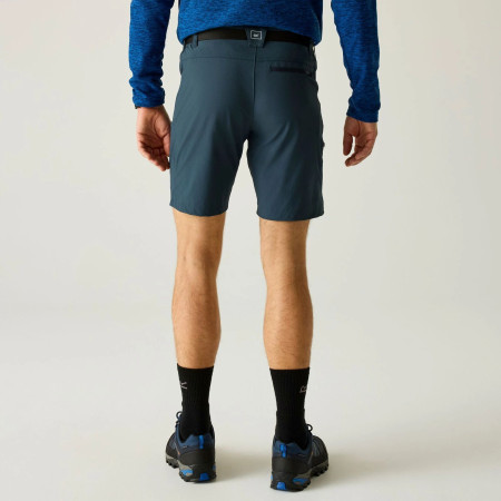 Muške kratke hlače Regatta Xert Stretch Shorts