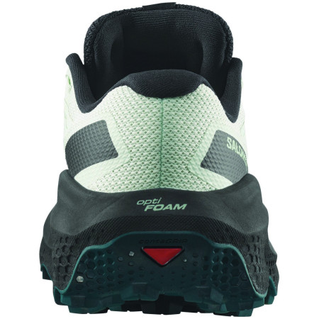 Ženske tenisice za trčanje Salomon Ultra Flow 2 Gore-Tex