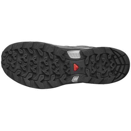 Ženske planinarske cipele Salomon X Ward Leather Gore-Tex