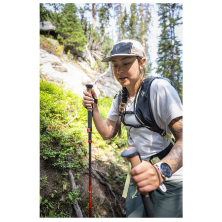 Trekking štapovi Black Diamond Pursuit Carbon FLZ