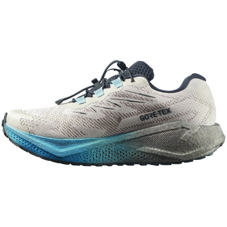 Muške cipele Salomon Aero Blaze 4 Grvl Gtx
