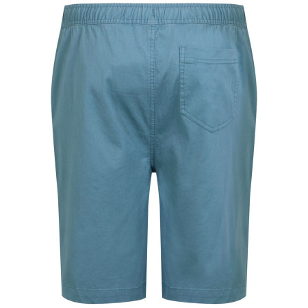 Muške kratke hlače Regatta Aldan Short