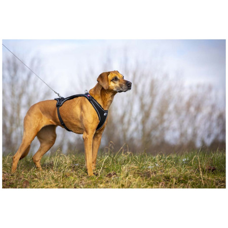 Povodac za psa Curli Ultra Strong Pocket Leash