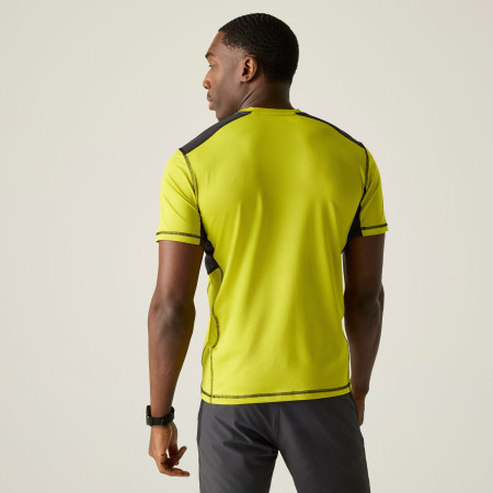 Muška majica Regatta Virda