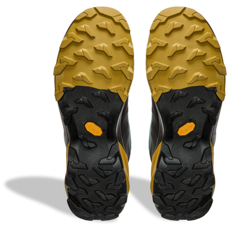 Muške trekking cipele Dynafit Transalper 2