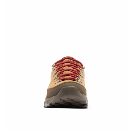 Muške cipele Columbia Newton Alpine™ Low