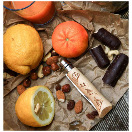 Nož Opinel Vri N°8 Inox Biking