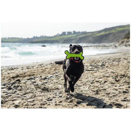 Igračka za psa Mountain Paws Rubber Bone Dog Toy