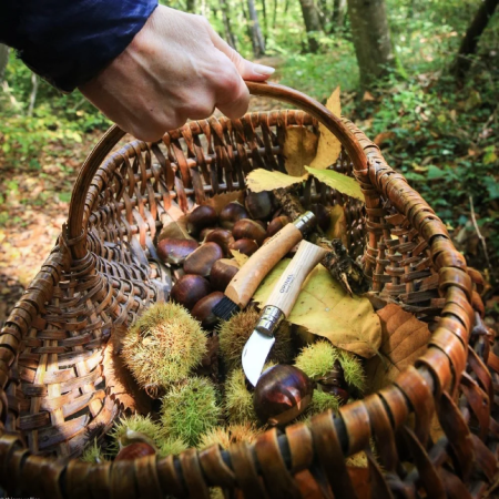 Sklopivi nož Opinel N°07 Inox