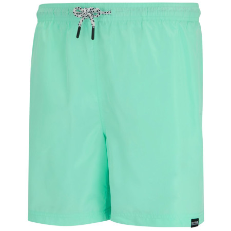 Muške kratke hlače Regatta Mackleyna Swim Short