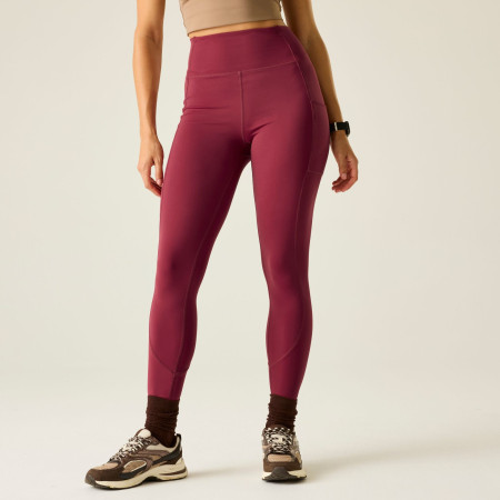 Ženske tajice Dare 2b Power Legging