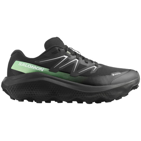 Muške cipele Salomon Ultra Flow 2 Gore-Tex