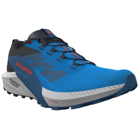 Muške tenisice za trčanje Salomon Sense Ride 5 plava French Blue / Black / Dark Blue