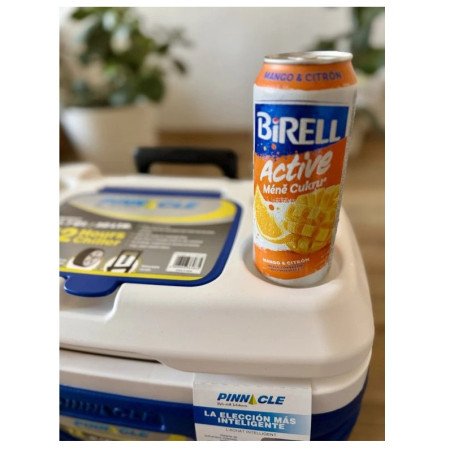 Prijenosni hladnjaci Pinnacle Prudence 30L