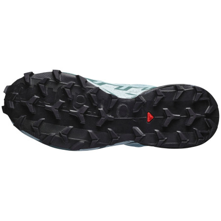 Ženske cipele Salomon Speedcross 6 Gore-Tex