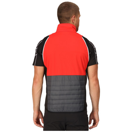 Muška jakna Regatta Steren Hybrid