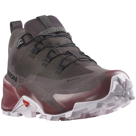 Ženske planinske cipele Salomon Cross Hike 2 Gore-Tex