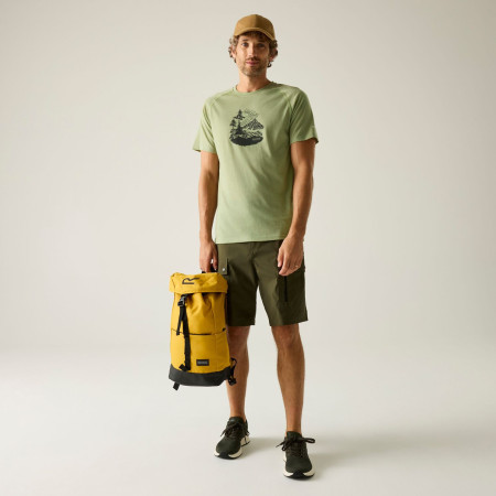 Muška majica Regatta Escade