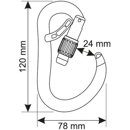 Karabiner Camp Atom Belay Lock