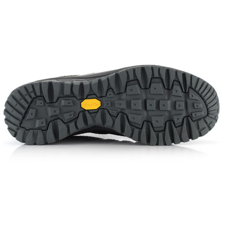 Muška obuća Alpine Pro Musswe