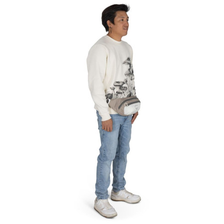 Torbice oko struka Osprey Daylite Waist Pack