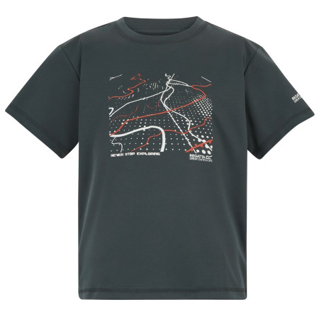 Dječja majica Regatta Alvarado Seal Grey siva Seal Grey