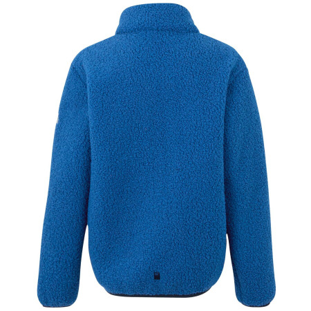 Dječja dukserica Regatta Junior Frankie Warm Fleece