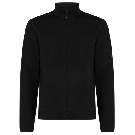 Muška dukserica Icebreaker M Mer 400 RealFleece Descender LS Z crna Black