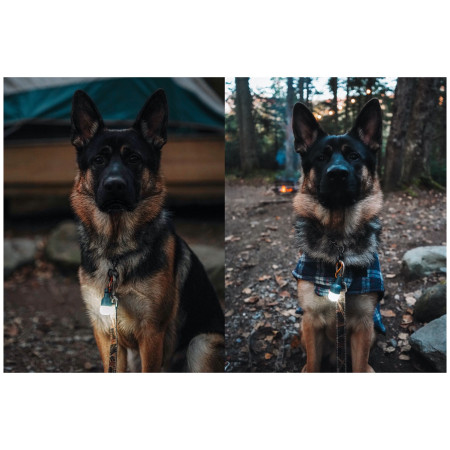 Set svjetala BioLite Site Lights