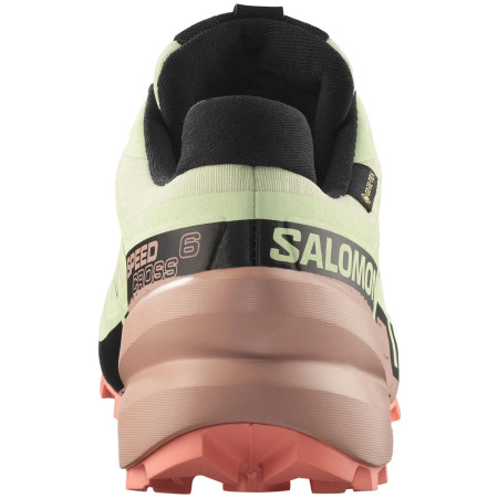 Ženske cipele Salomon Speedcross 6 Gore-Tex
