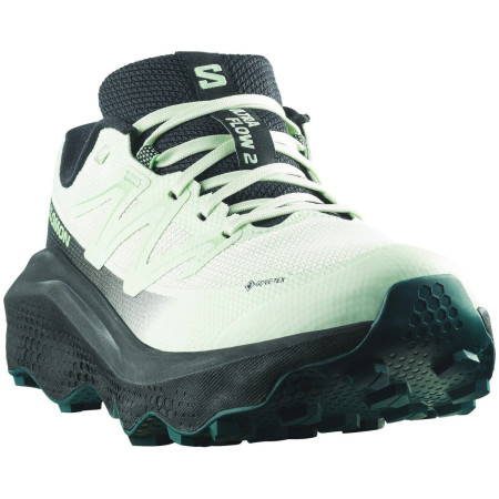 Ženske tenisice za trčanje Salomon Ultra Flow 2 Gore-Tex