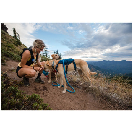 Ogrlica za psa Ruffwear Switchbak™ Harness