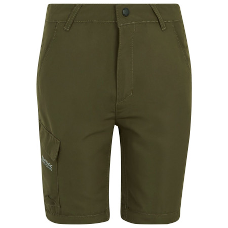 Dječje hlače Regatta Sorcer Z/O Trousers III Treetop
