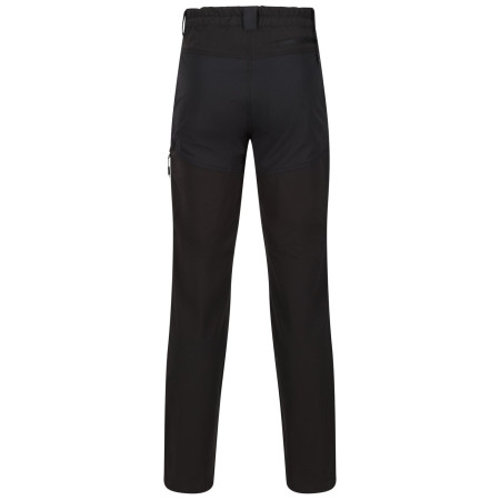 Muške hlače Regatta Questra V