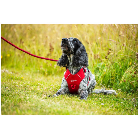 Ogrlica za psa Mountain Paws Dog Harness