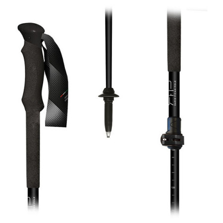 Trekking štapovi Fizan RFP Touring