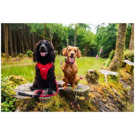 Povodac za psa Mountain Paws Rope Dog Lead