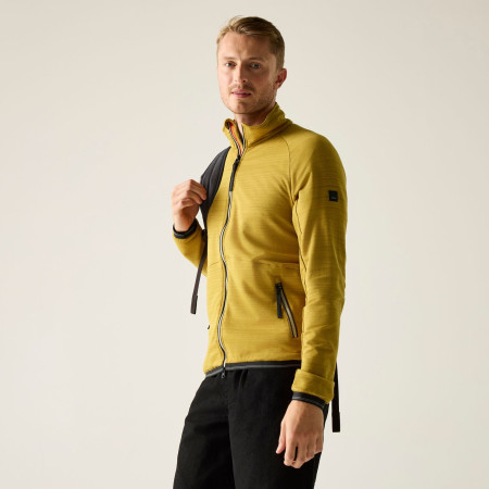 Muška dukserica Regatta Malton