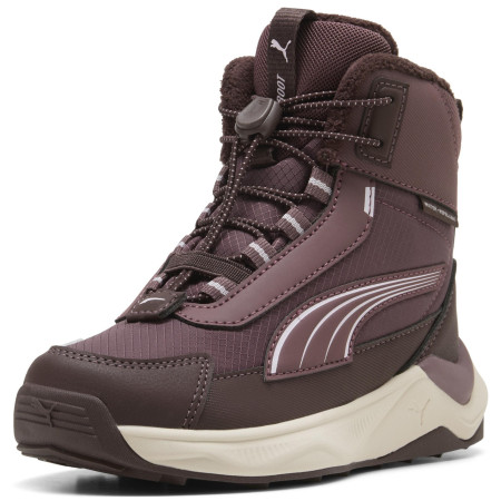 Dječja obuća Puma Puma Evolve 2.0 Boot PS Rich Cocoa-Powde