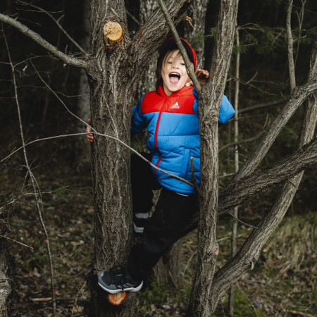 Dječja obuća Adidas Terrex Ax4R K