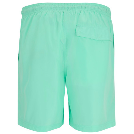 Muške kratke hlače Regatta Mackleyna Swim Short