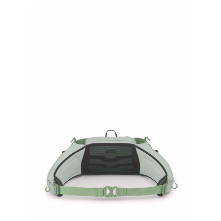 Torbice oko struka Osprey Tempest 6