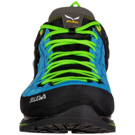 Muške cipele Salewa Ms Mtn Trainer 2 Gtx