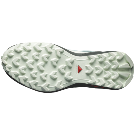 Ženske tenisice za trčanje Salomon Speedcross Peak Gore-Tex