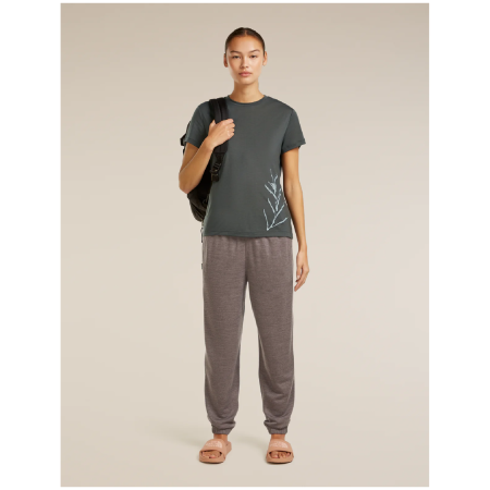 Ženska funkcionalna majica Icebreaker Merino Blend Core SS Tee Panax