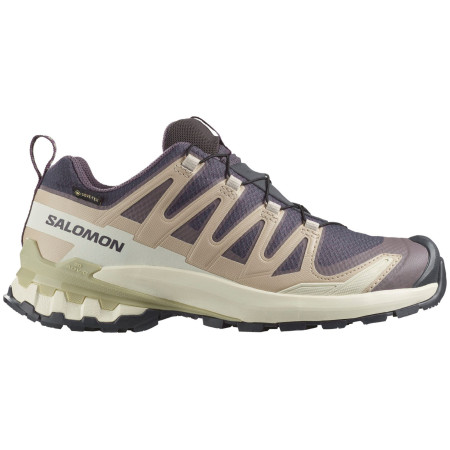 Ženske planinarske cipele Salomon Xa Pro 3D V9 Gore-Tex bež Nine Iron / Oxford Tan / Alfalfa